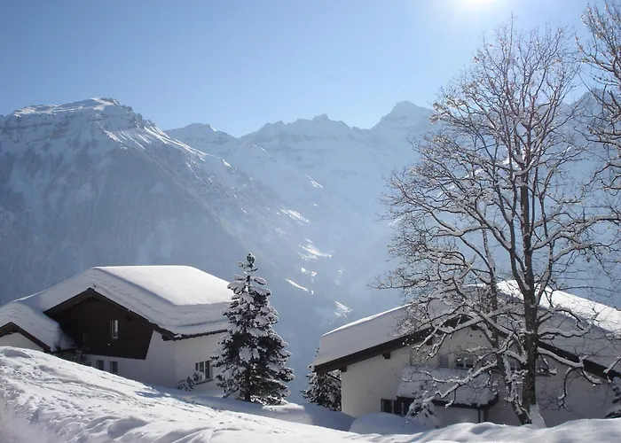 Adrenalin Backpackers Hotel